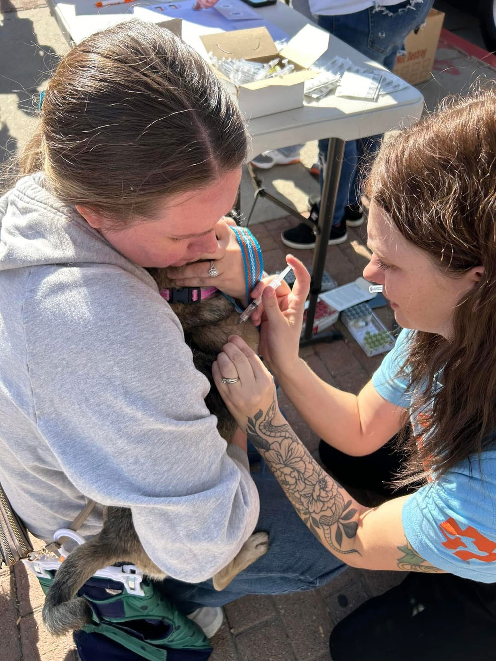 dog-vaccine2